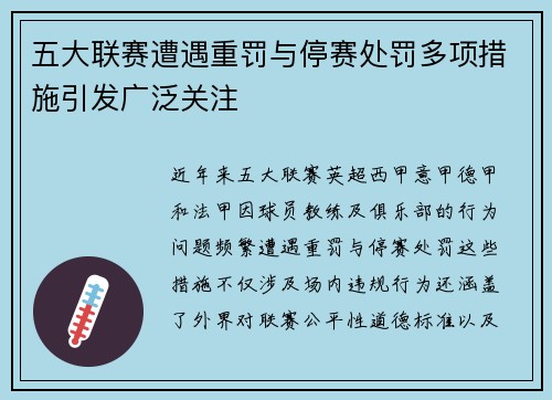 五大联赛遭遇重罚与停赛处罚多项措施引发广泛关注