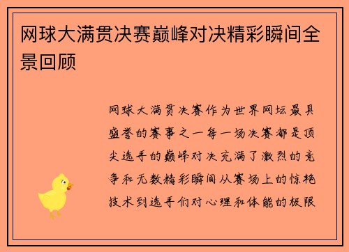 网球大满贯决赛巅峰对决精彩瞬间全景回顾